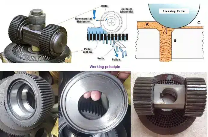 Working Principle of Pelleting Machine