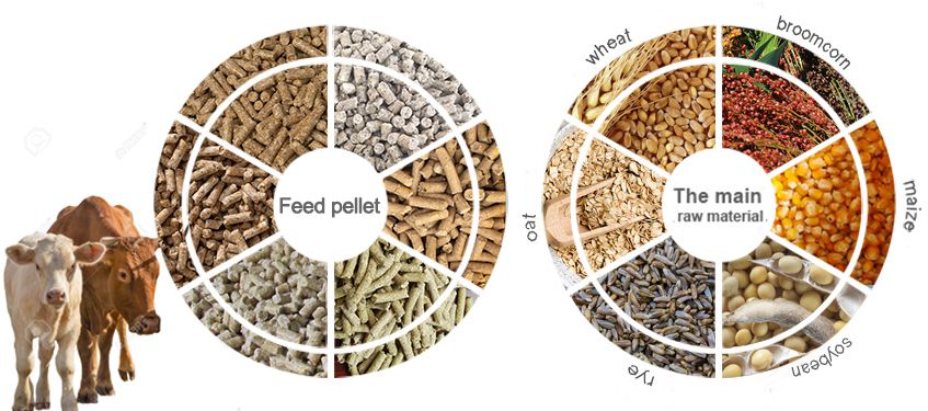 raw materials for making cattle feed