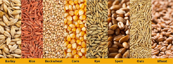 grains drum industry